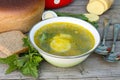 Green nettle soup Royalty Free Stock Photo