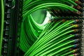 Green network wires connected to the server Royalty Free Stock Photo