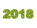 Green 2018 New Year sign on white