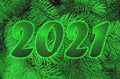 Green 2021 new year text on the background of green christmas tree branches Royalty Free Stock Photo