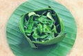 Green Noni leaf