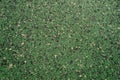 Green nonstick stone crumb background.