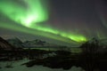 Green Northern Light Aurora Borealis in a clear starry night above a Norwegian fjord