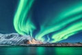 Green northern lights in Lofoten islands, Norway. Aurora borealis Royalty Free Stock Photo