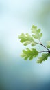 Green oak leaf on a blue background, AI Royalty Free Stock Photo