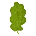 Green oak leaf icon, cartoon style Royalty Free Stock Photo