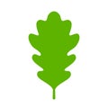 Green oak leaf icon