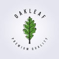 green oak leaf logo symbol vector illustration design.