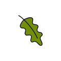 Green oak leaf vector illustration Royalty Free Stock Photo