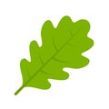 Green oak leaf vector illustration