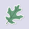 green oak leaves editable cartoon style sticker vector Royalty Free Stock Photo
