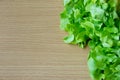 Green oak salad vegetable, wood background