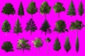 tree object collection on magenta chroma key screen for CG.