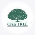 Green Oak Tree Logo Royalty Free Stock Photo