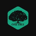 Green Oak Tree Logo Royalty Free Stock Photo