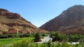 Green oasis in desert mountains