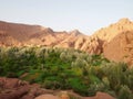 A green oasis in the middle of a Sahara desert tour Merzuga, Ma Royalty Free Stock Photo