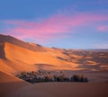 Green oasis over sand dunes in Erg Chebbi of Sahara desert on sunset time in Morocco, North Africa Royalty Free Stock Photo