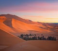 Green oasis with palm trees over sand dunes in Erg Chebbi of Sahara desert on sunset time in Morocco, North Africa Royalty Free Stock Photo