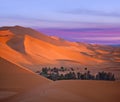 Green oasis with palm trees over sand dunes in Erg Chebbi of Sahara desert on sunset time in Morocco, North Africa Royalty Free Stock Photo