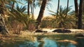 Green oasis with pond in Sahara desert