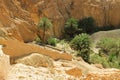 Oasis in the Sahara desert, the path to the oasis, Chebika, Tunisia