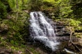 Green Oasis: A Side View of a Majestic Pennsylvania Waterfall with Verdant Trees and Logs