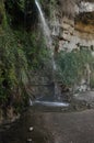 A green oasis with a waterfall and lakes in the Ein Gedi National Park in Israel on the Dead Sea Royalty Free Stock Photo