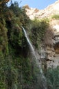 A green oasis with a waterfall and lakes in the Ein Gedi National Park in Israel on the Dead Sea Royalty Free Stock Photo