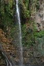 A green oasis with a waterfall and lakes in the Ein Gedi National Park in Israel on the Dead Sea Royalty Free Stock Photo