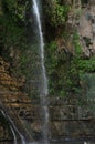 A green oasis with a waterfall and lakes in the Ein Gedi National Park in Israel on the Dead Sea Royalty Free Stock Photo