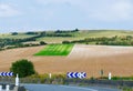 Green Oasis in Wheat Hills