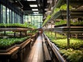 Green office with vertical farm