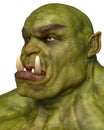 Green ogre in a white background