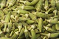 Green Okra Crop Texture Royalty Free Stock Photo