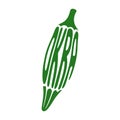 Green okra illustration with text okra colouring page Royalty Free Stock Photo