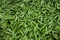 Green okras background