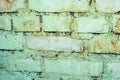 Green old brick wall. Copyspace for text Royalty Free Stock Photo