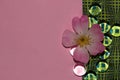 green old futuristic wallpaper with transparent glass beads and rose flower head, creative summer design