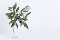 Green olive branches in glass vase on a white brick wall background. Wall mockup. Minimal home decor. Simple modern interior