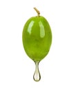 Green olive with a drop of oil close up on white background Royalty Free Stock Photo