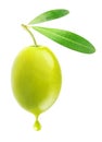 Green olive