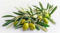 Green olive fruit isolated on white background for versatile use in design and culinary projects Royalty Free Stock Photo