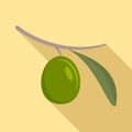 Green olive icon, flat style