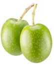 Green olive isolated on white background. Clipping path Royalty Free Stock Photo