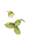 green olive over on white background, top view