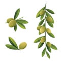 Green olive set