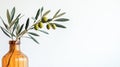 Green olive tree branches on a light background with area for text or design. Royalty Free Stock Photo