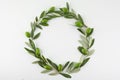Green olive wreath on white background. Top view Royalty Free Stock Photo