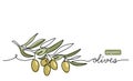 Green olives art vector drawing. One continuous line art with lettering organic green olives